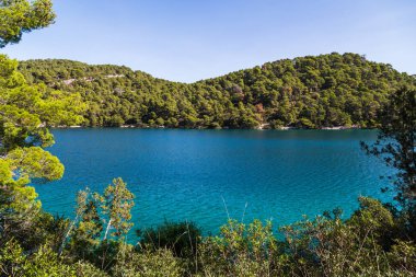 Gür yeşilliklerle Mljet Milli Parkı