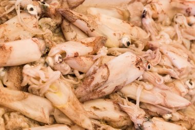 Taze kalamar çerçeve doldurur