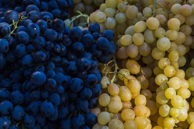 Bir pazar ahır kırmızı ve beyaz üzüm