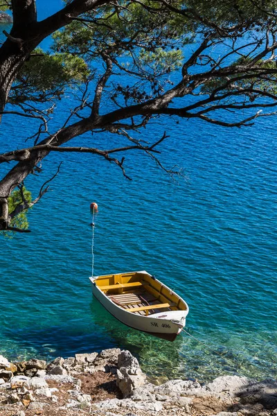 Büyülü Mljet Island üzerinde tekne palamarla 