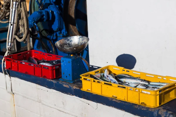 Peixes vendidos do lado de um arrastão — Fotografia de Stock