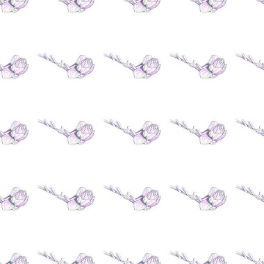 Çiçek Pastası. Beyaz Romantik Kusursuz Desen.