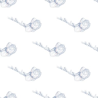 Çiçek Pastası. Beyaz Romantik Kusursuz Desen.