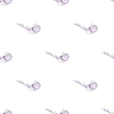 Çiçek Pastası. Beyaz Romantik Kusursuz Desen.