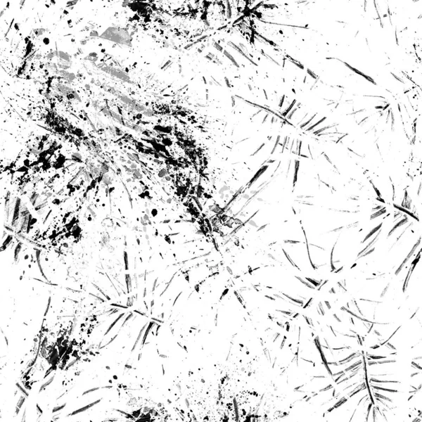 Тропический лист. Черно-белый современный мотив. — стоковое фото