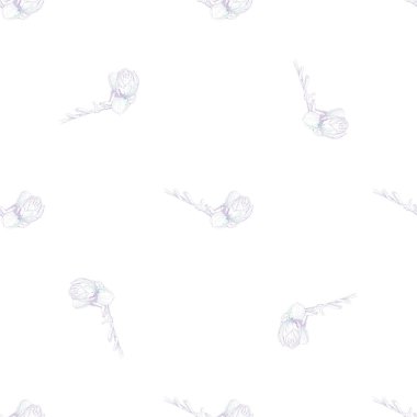 Çiçek Pastası. Beyaz Romantik Kusursuz Desen.