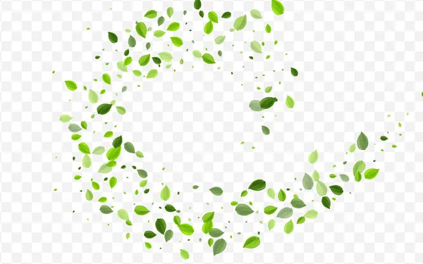 Mint Foliage Vector Concept. Green Leaf Flying — Stockvector