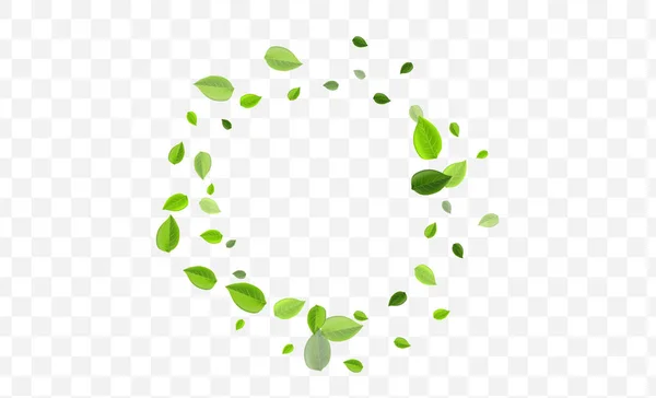 Swamp Leaf Vector Concepto. Vuelo verde — Vector de stock