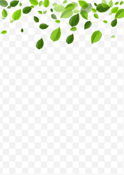 Векторний плакат личинки. Монетний двір Зелені Свіжі — стоковий вектор