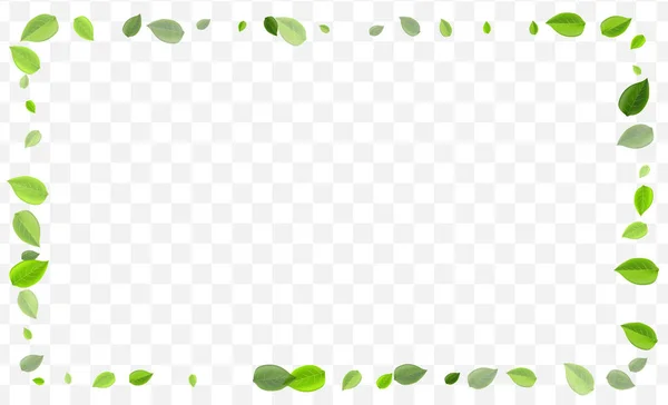 Moerasbladeren Vector achtergrond. Groene Bladeren Natuur — Stockvector