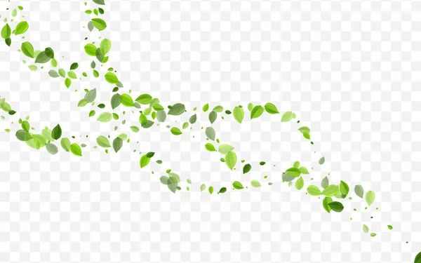 Lime Leaves Vector Concept. Bosque de follaje del pantano — Vector de stock