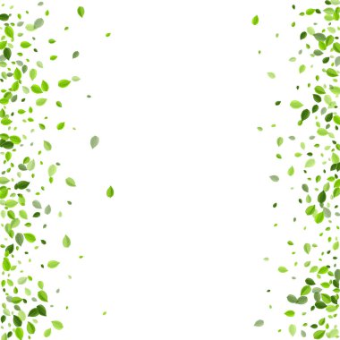 Nane Yeşilliği Doğa Vektörü Arkaplanı. Bulanık Yeşiller 