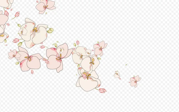 Cor Floral Planta Vetor Fundo Transparente . —  Vetores de Stock