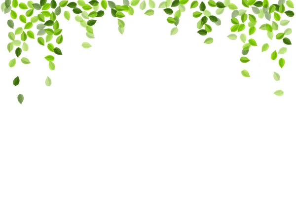 Swamp Greens Falling Vector Template. Naturaleza — Vector de stock