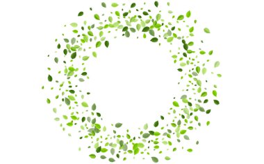 Naneli Yaprak Ormanı Vektör Posteri. Gerçekçi Yapraklar 