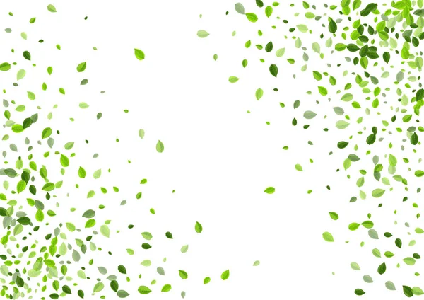 Olive Greens Realistische Vector Banner. Theebladeren — Stockvector
