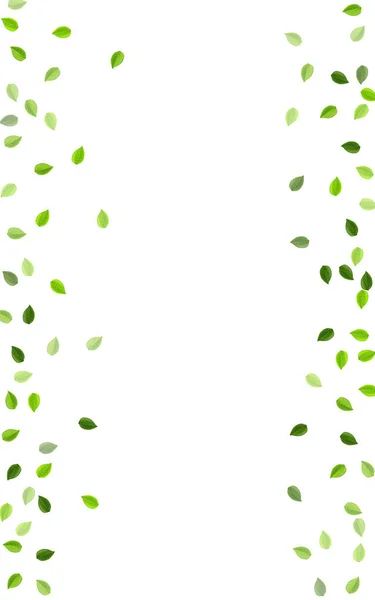 Green Leaf Forest Vector Concept. Transparente — Vector de stock