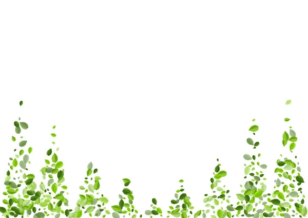 Lime Greens Blur Vector Poster. Hoja orgánica — Vector de stock