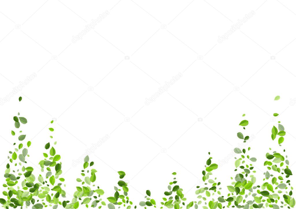 Lime Greens Blur Vector Poster. Organic Leaf 