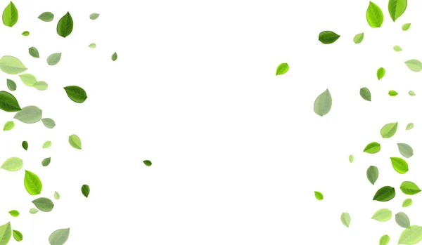 Lime Leaf Forest Vector Illustration (em inglês). Queda —  Vetores de Stock