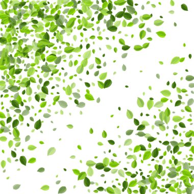 Çimenli Ağaç Vektör Şubesi. Bahar Yeşili 