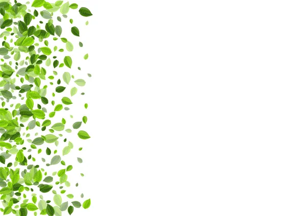 Mint Greens Ecology Vector Border. Folhas da natureza — Vetor de Stock