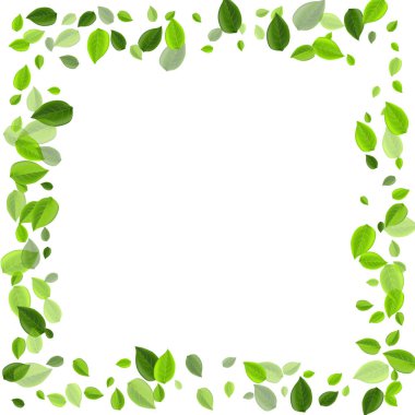 Olive Orman Vektör Tesisi 'nden ayrılıyor. Düşen Yeşiller 