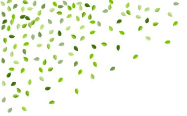 Lime Leaf Soyut Vektör Duvar Kağıdı. Düşüyor 