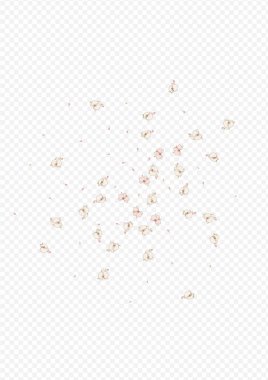 Pembe Çiçek Doğa Vektörü Şeffaf Arkaplan. 