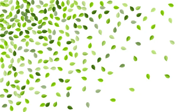 Grassy Foliage Tree Vector Illustration (en inglés). Moción — Vector de stock