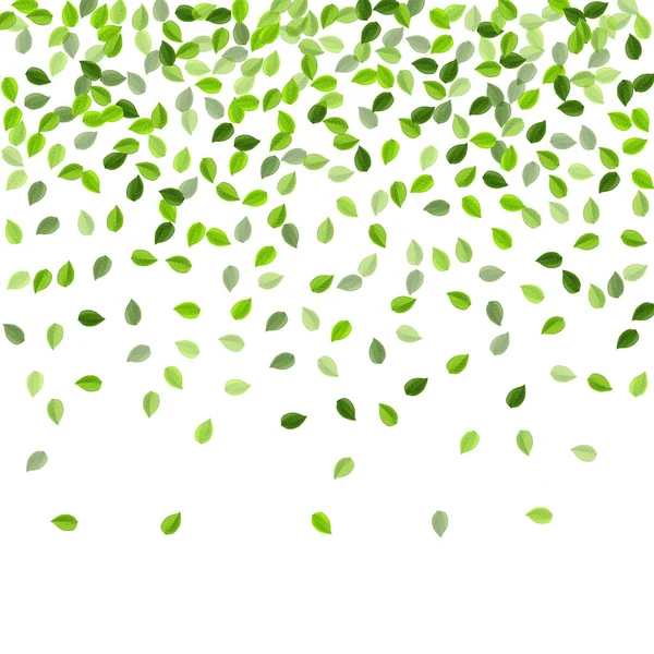 Green Foliage Tree Vector Wallpaper. Folhas de mosca —  Vetores de Stock