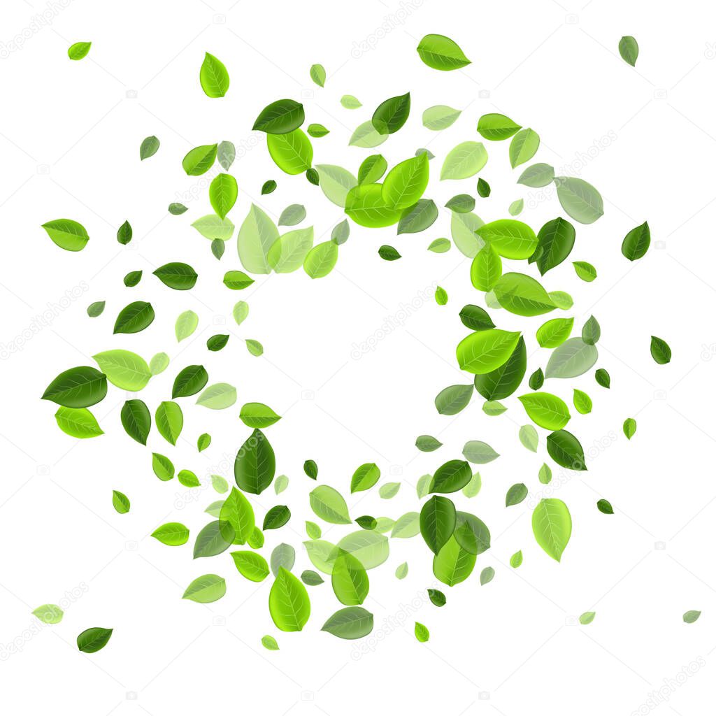 Olive Greens Fly Vector Branch. Organic Foliage 