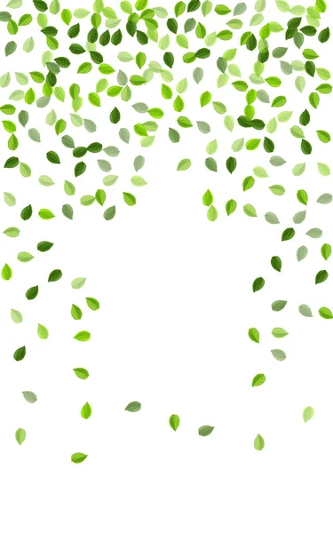 Swamp Foliage Abstract Vector Branch. Transparent — Stock Vector