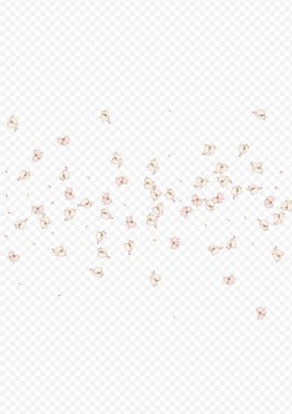 Kırmızı Çiçek Bahar Vektörü Şeffaf Arkaplan. 