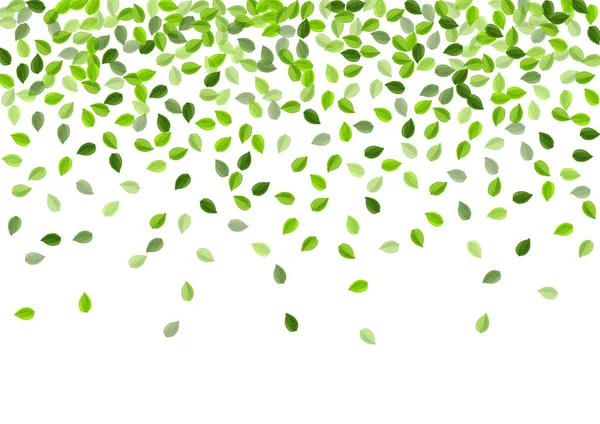 Green Leaves Realistic Vector Broschüre. Wirbel — Stockvektor