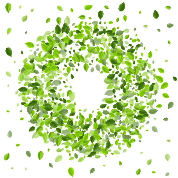 Olive Leaf Nature Vector Design. Feuilles volantes — Image vectorielle