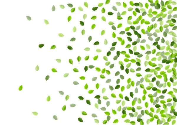 Green Leaves Abstract Vector Branch. Feuillage éolien — Image vectorielle