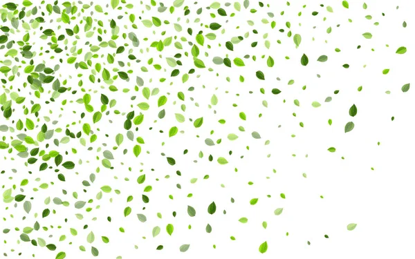 "Mint Leaves Falling Vector Concept". Fly Greens — стоковый вектор