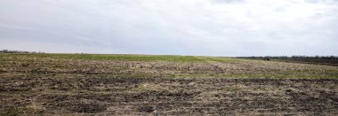 Traktör bir tarım alanı pulluklar