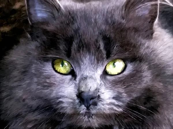 Фигурная морда серого кота — стоковое фото