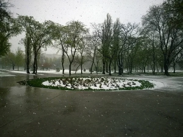 Nasser Schnee mit Regen im April — Stockfoto