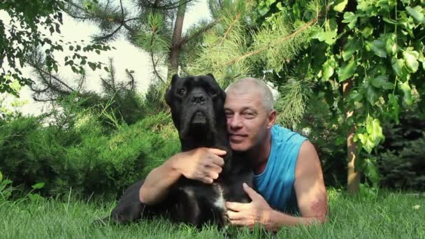 Sunny Day Young Man Stroking His Beloved Black Cane Corso — Stock Video