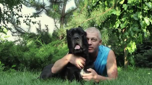 在一个阳光明媚的日子里 一个年轻人在松树下绿草的空地上抚摸他心爱的黑色手杖 科索犬 — 图库视频影像