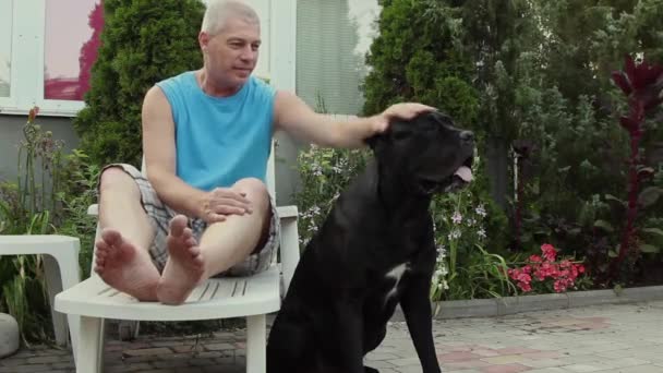 Summer Day Sitting Deck Chair Young Man Gently Strokes His — Stock Video