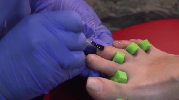 Mulher Que Tem Uma Manicura Pregos Salão Beleza Com Uma — Vídeo de Stock