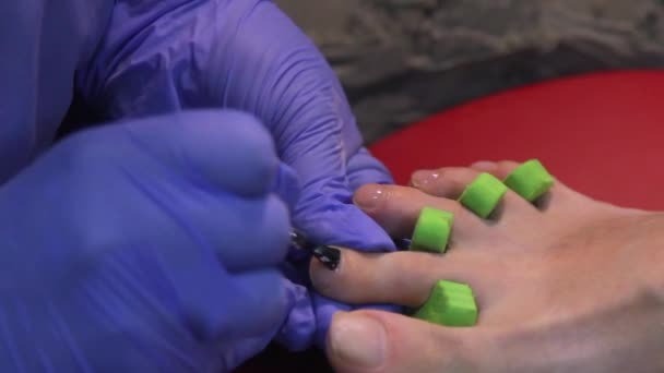 Femme Ayant Une Manucure Des Ongles Dans Salon Beauté Avec — Video