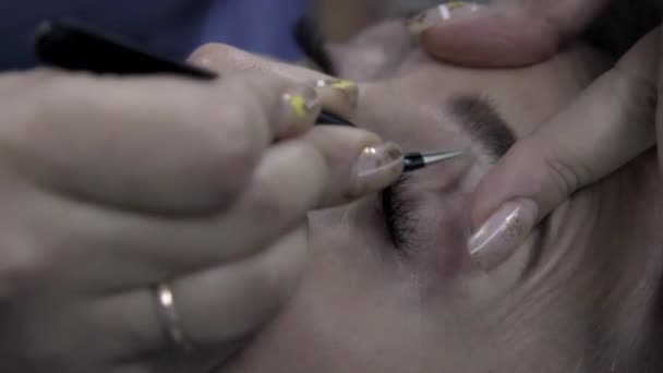 Close Corrected Eyebrows Tweezers Staining Henna Plucking Eyebrows Tweezers Master — Stock Video