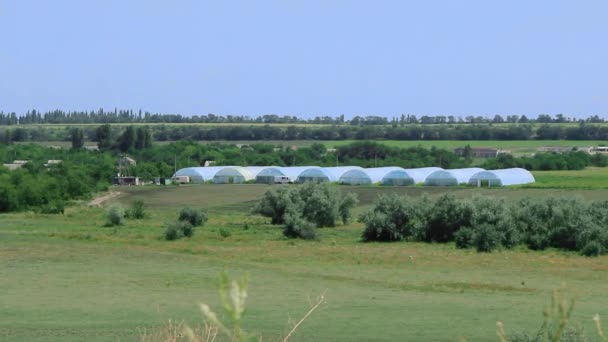 une belle vue sur une serre au milieu de la steppe debout sur une colline sur la rivière dans la steppe dans laquelle les légumes sont cultivés toute l'année 