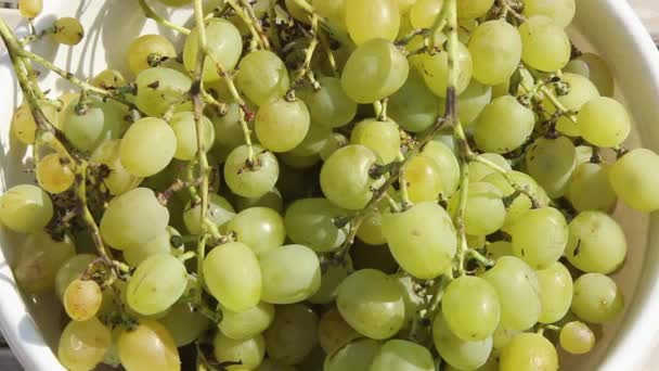 Large Bunches Grapes Morning Sun Green Grapes Close Bowl Served — Stock Video