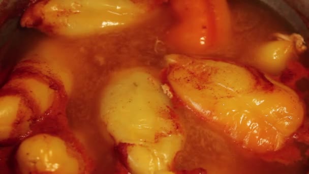 Pimientos Rellenos Una Cacerola Salsa Tomate Primer Plano Cocinar Verduras — Vídeos de Stock